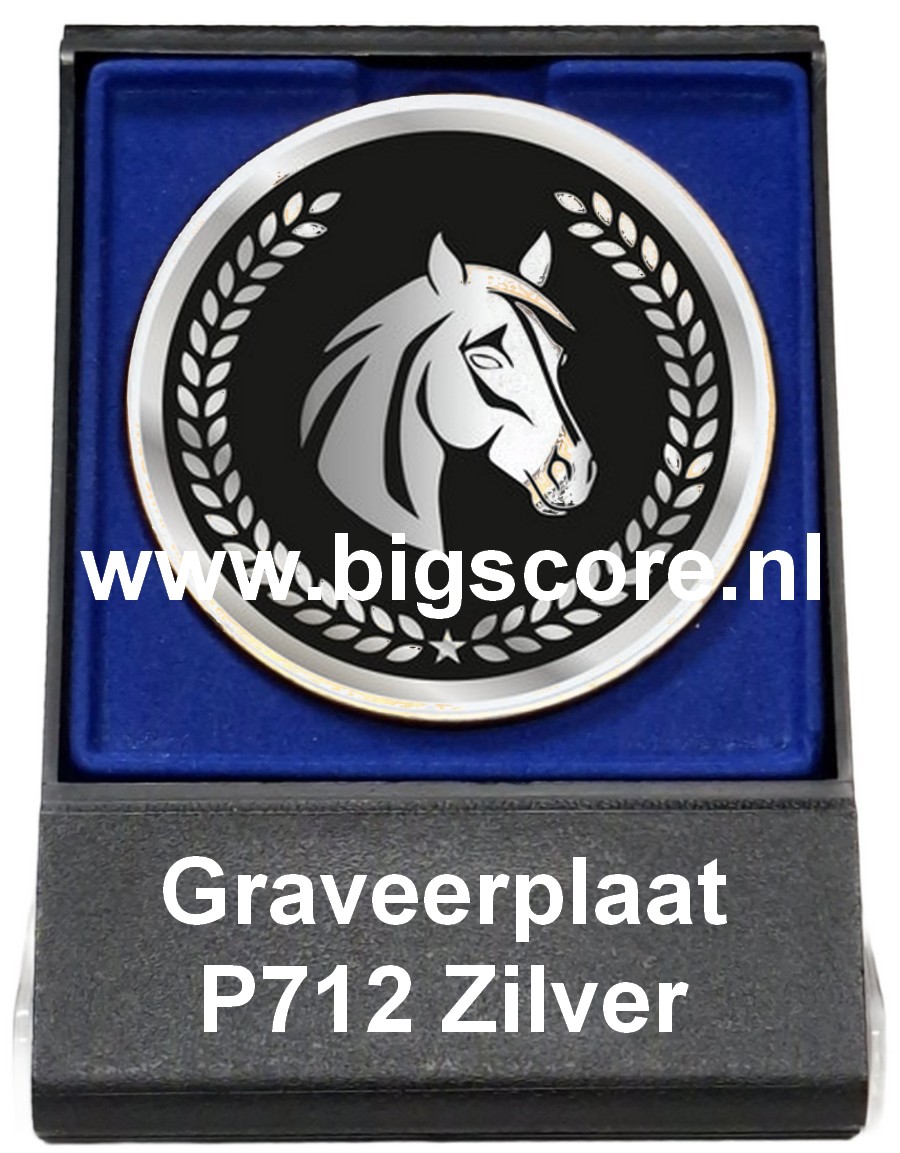Paard Acryl in medailledoosje Blauw-Zwart G/Z/B